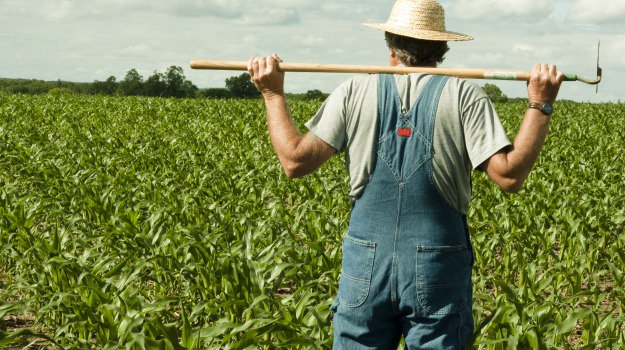Olevano (Pavia), indagato imprenditore agricolo per la morte di un bracciante suo dipendente