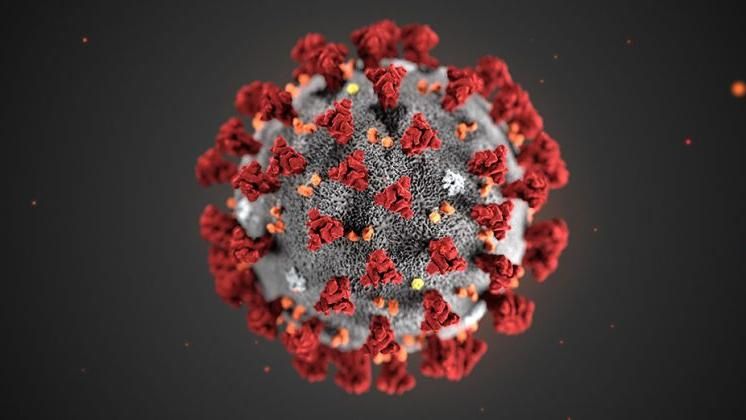 Coronavirus, individuati nuovi anticorpi in grado di bloccare l’infezione
