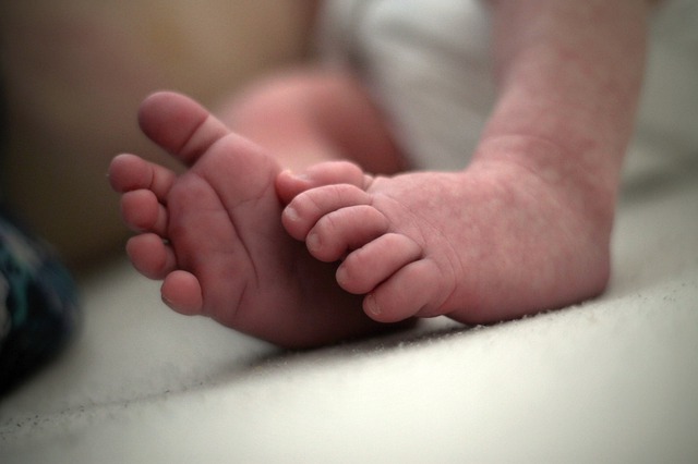 Prosegue il calo delle nascite in Italia ma aumenta il ricorso alle tecniche di procreazione medicalmente assistita