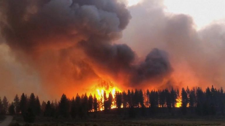 Allarme per i tanti incendi nelle foreste in Siberia, Canada e Stati Uniti