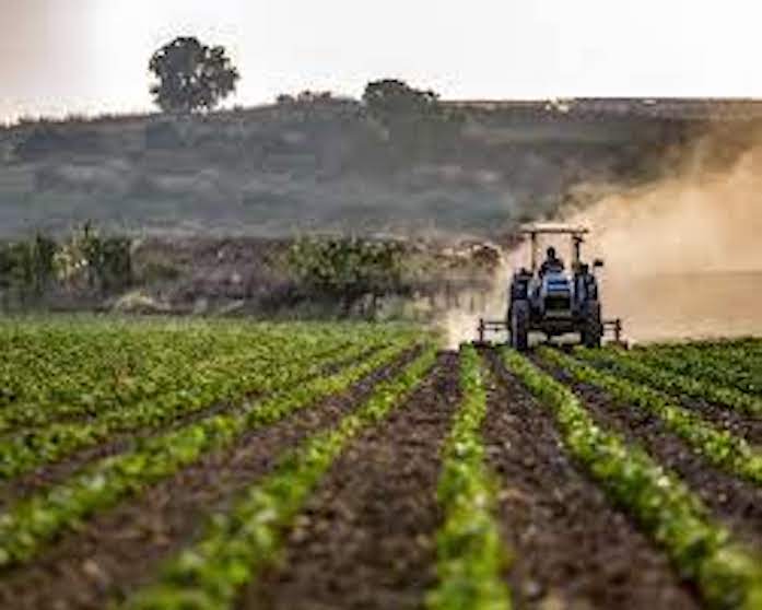 Migliora il clima di fiducia delle imprese agricole in Italia