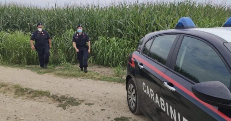 San Giuliano Milanese: morte delle due ragazze marocchine in un campo di mais, indagato il conducente della mietitrebbia