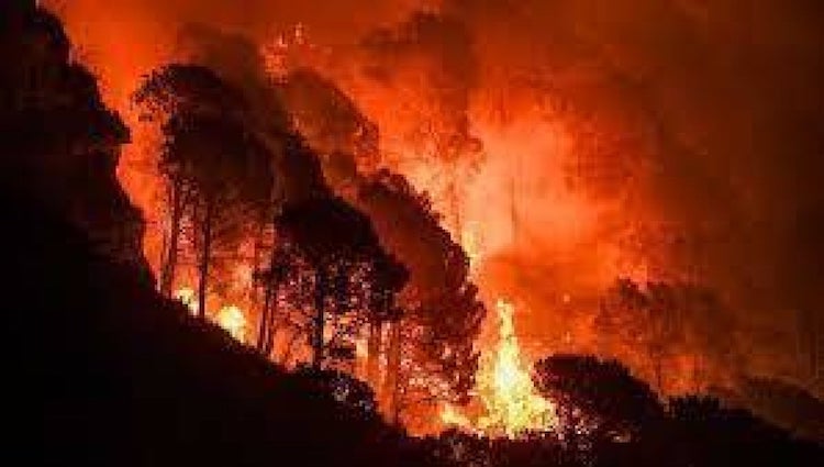 Tivoli, incendio di vaste proporzioni sul Monte Catillo