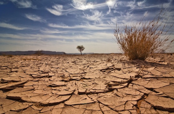 Clima, grido d’allarme dell’Onu: “Il peggio deve ancora venire e a pagarne il prezzo saranno i nostri figli e nipoti, più che noi stessi”