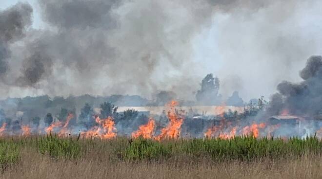 Fiumicino, vasto incendio nella zona di Isola Sacra: al lavoro tre squadre di vigili del fuoco
