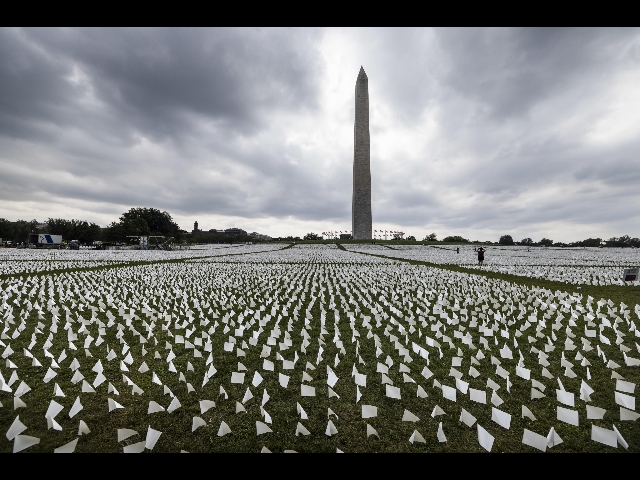 Covid, a Washington oltre 650mila bandierine bianche per ricordare le vittime della pandemia