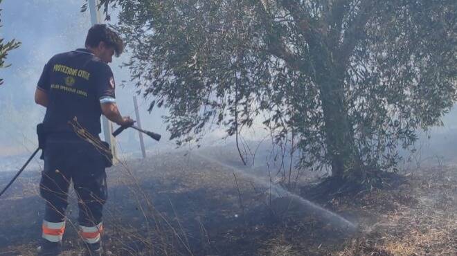 Aranova (Fiumicino), vasto incendio in un’ampia zona boschiva