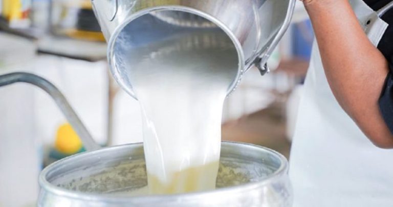 Coldiretti: I produttori di latte rischiano il collasso. La situazione è davvero grave, insostenibile