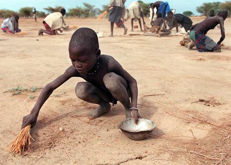 La triste ammissione della Fao: “Mai come oggi è difficile sconfiggere la fame nel mondo”