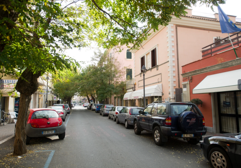 Alberi di Via Duca degli Abruzzi Italia in Comune, Azione, Italia Viva, e PSI: “Abbattimento ingiustificato”