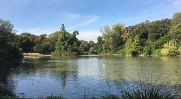 Roma, chiuso al pubblico il parco di Villa Pamphili per un cigno morto per aviaria al laghetto del Giglio