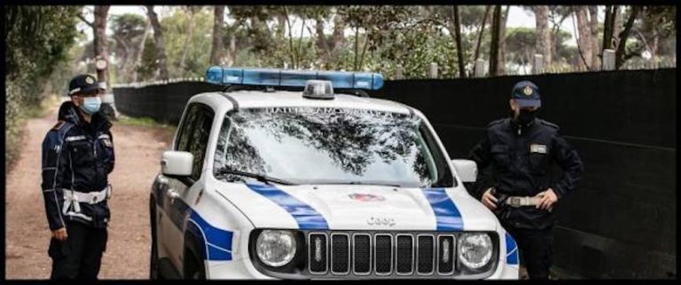 Caso di aviaria a Ostia, parla Zingaretti: “Zona di protezione con raggio di 3 chilometri dall’allevamento sede di focolaio”