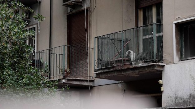 Roma, 86enne va da medico e quando torna trova la sua casa occupata al quartiere Don Bosco