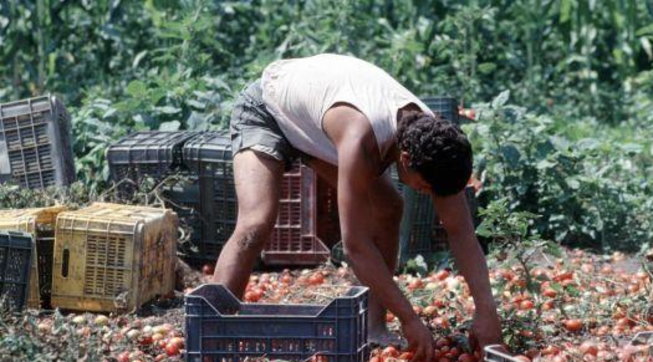 La moglie del capo del Dipartimento dell immigrazione del Viminale è tra le 16 persone indagate in un’inchiesta per caporalato. Si è dimessa