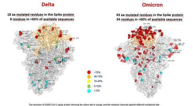 Variante Omicron, dagli Usa in arrivo 500 milioni di test gratuiti