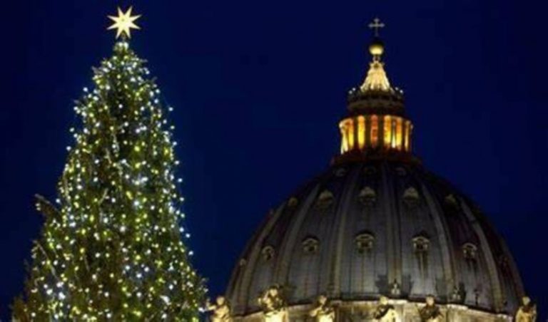 Vaticano, accende le luci l’albero di Natale di piazza San Pietro