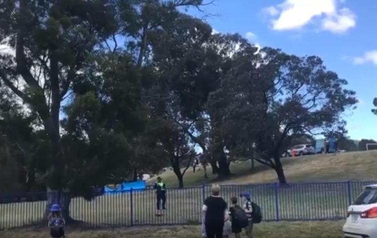 Australia, tragedia in un parco giochi in Tasmania: morti quattro bambini, altri cinque sono rimasti feriti
