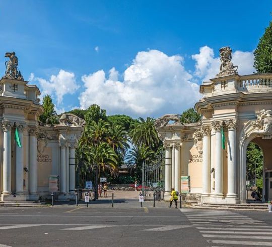 Roma, il Bioparco registra una crescita dei visitatori: 400mila entro la fine dell’anno