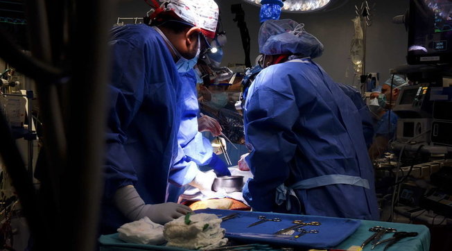 Nel 2021 le donazioni e i trapianti di organi, tessuti e cellule in Italia sono tornati ai livelli pre-pandemia