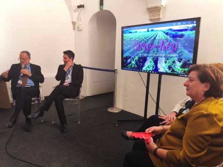 Destinazioni turistiche del Lazio, nasce l’Associazione “DMO Etruskey”