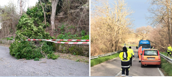 La bufera non risparmia Cerveteri, danni causati dal forte vento