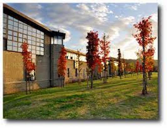 Bagno a Ripoli (Firenze), un ventenne cade dal tetto della sua ex scuola per un “selfie estremo”