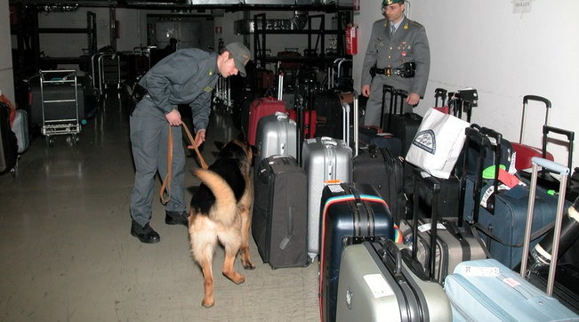 Torino, cocaina nei pacchetti di patatine: arrestato dalla Finanza 4 spacciatori