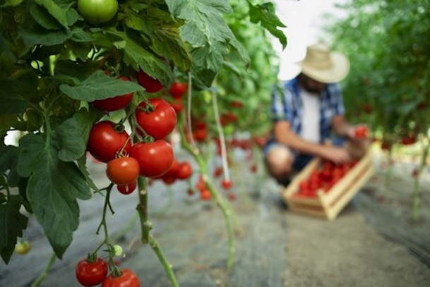 Roma, al via la due giorni contro il lavoro nero e lo sfruttamento del personale nel settore dell’agricoltura