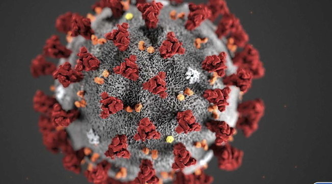 Covid, dall’Iss proseguono i test sugli animali per un nuovo vaccino contro tutte le varianti del virus
