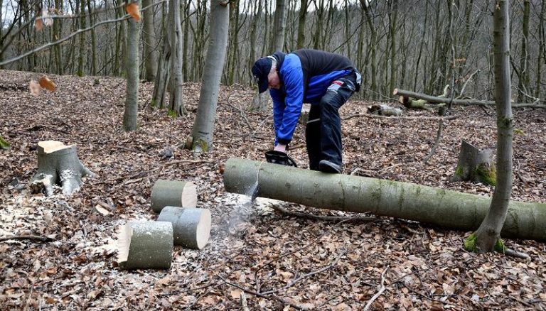 Varna (Alto Adige), agricoltore travolto e ucciso dall’albero che stava tagliando