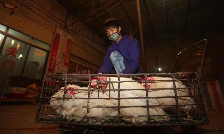 Covid, Il mercato di Wuhan in Cina torna ad essere il principale indiziato come il luogo di origine della pandemia