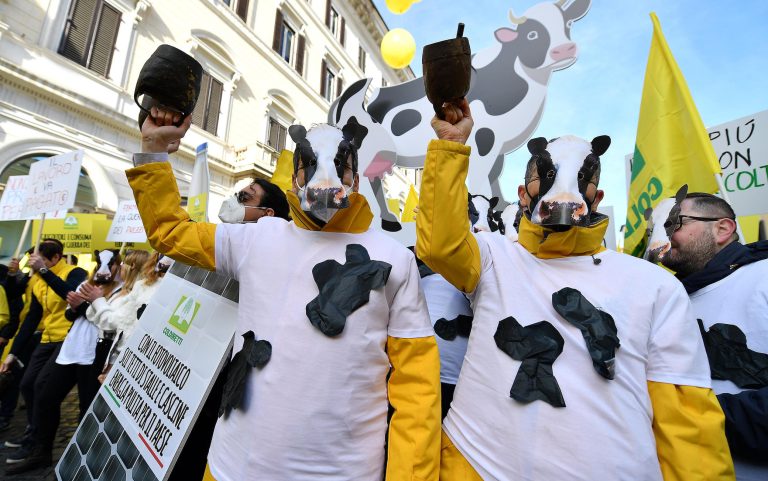 Roma, si è svolto stamane un sit in della Coldiretti contro il rincaro del latte e di altri prodotti agricoli