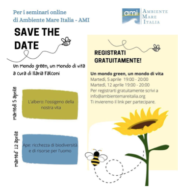 Seminari gratuiti online con Ambiente Mare Italia