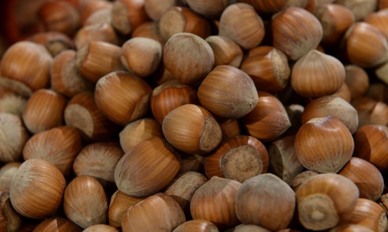 Ferrero punta allo sfruttamento della nocciola calabrese