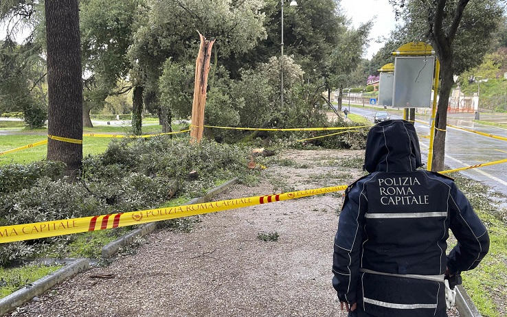 Roma, a Villa Borghese ferite due persone per la caduta di un albero