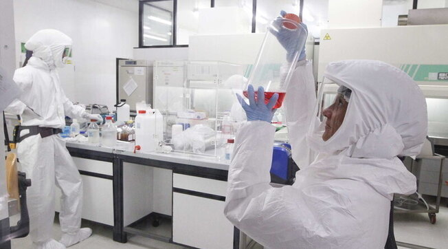 Vaiolo delle scimmie: secondo l’Oms segnalati 257 casi nel mondo e nessuna vittima