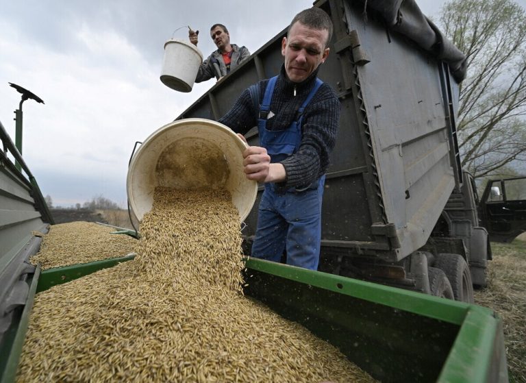 Guerra in Ucraina, per l’Onu “Bloccate 4,5 tonnellate di grano nei porti del Paese”