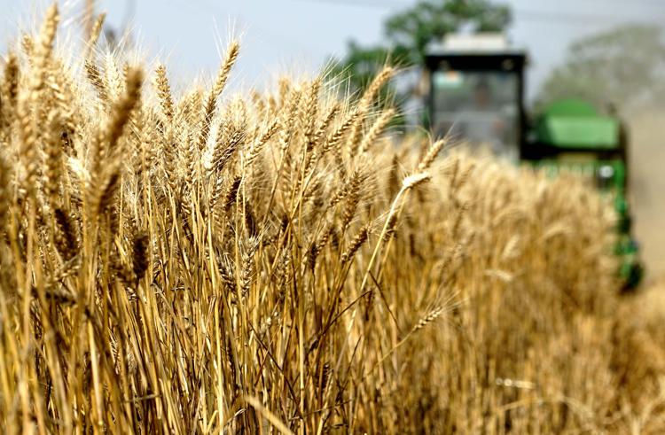 L’Ucraina propone un’organizzazione mondiale di esportatori di grano