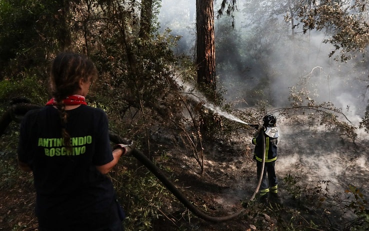 Ostia, nuovo incendio nella pineta di Castelfusano