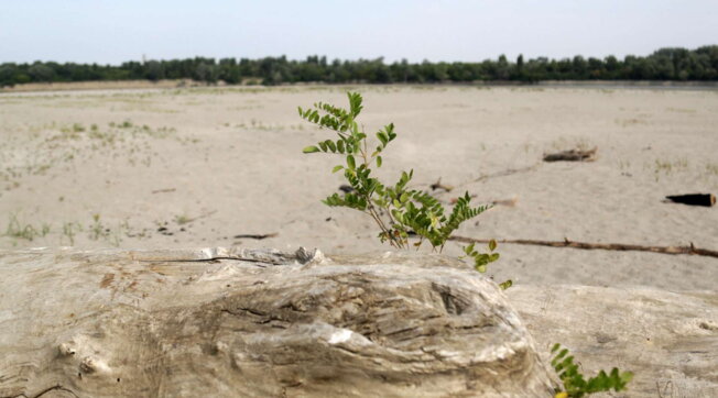 Siccità, l’allarme di Coldiretti: “Al nord la situazione è drammatica”