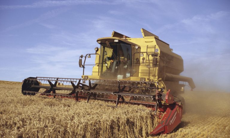 Un taglio del raccolto del grano del 30%: queste le prime stime nel Centro-Nord nei primi giorni di trebbiatura