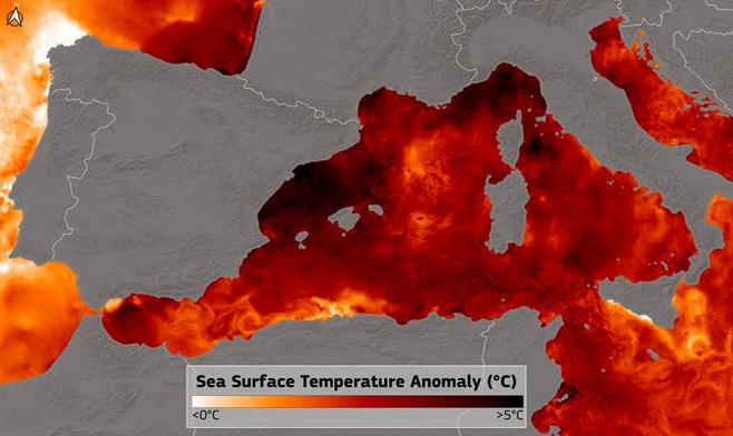 Il Mar Mediterraneo mai così bollente: quasi cinque gradi sopra la media