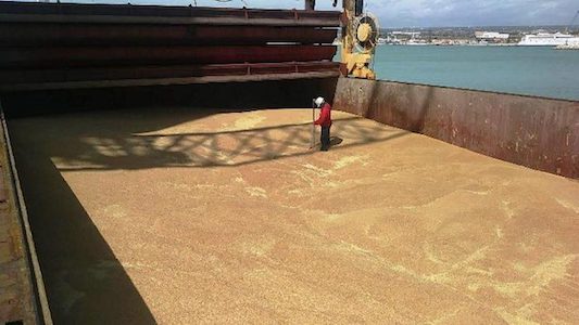 Odessa: Le navi devono salpare entro 20 giorni o i cereali marciranno