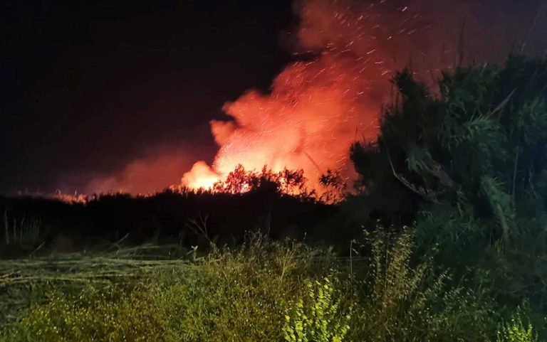 Ostia, è stato messo in sicurezza nel corso della notte il maxi incendio scoppiato poco prima delle 20 di ieri