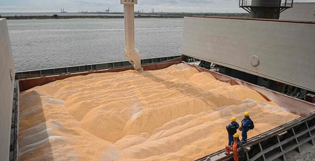 Ucraina: “Oltre 300 mila tonnellate di grano sono state distrutte dai russi a Mykolaiv”