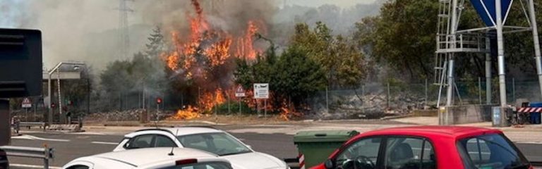 Continua l’emergenza incendi in Italia: roghi nel Carso, in Alto Adige e in Sicilia