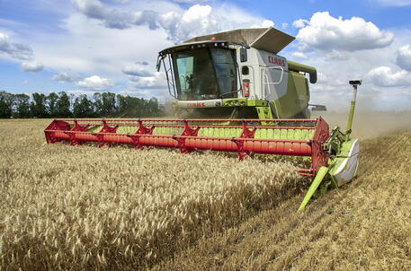 Accordo Russia-Turchia sul grano: via libera all’arrivo in Italia di quasi 1.200mila tonnellate di mais