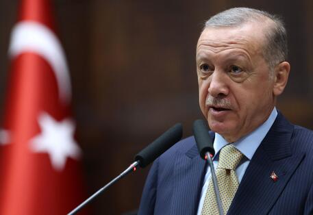 Guerra in Ucraina, Erdogan chiede a Putin di aprire i corridoi per il grano nel Mar Nero