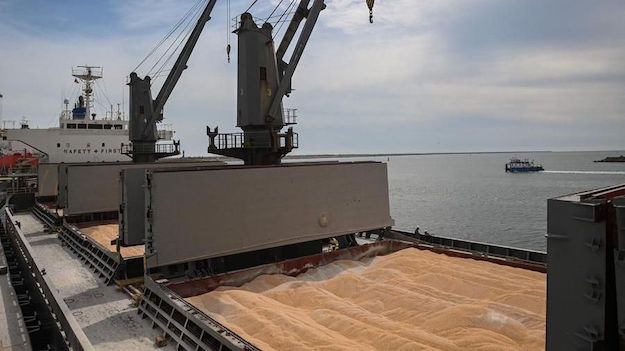 Guerra in Ucraina, 16 navi straniere sono presenti nei porti del Danubio per il grano