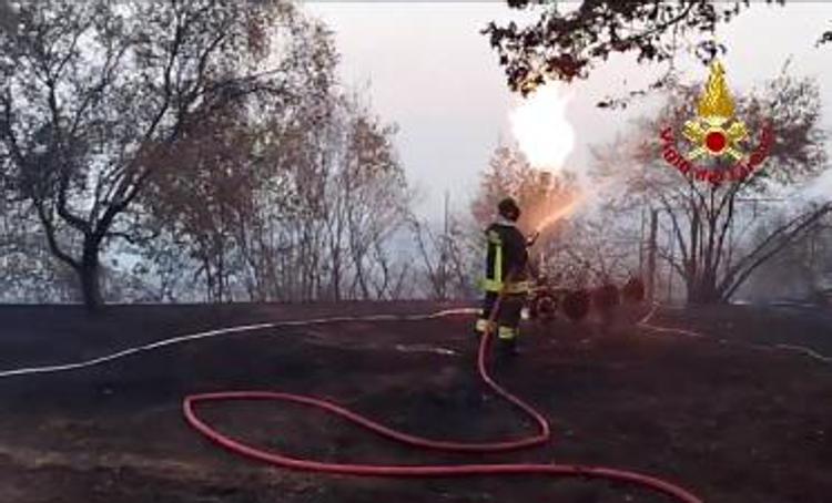 Carso: Proseguono le operazioni di spegnimento degli incendi che da due giorni stanno interessando le zone di Gorizia e Trieste